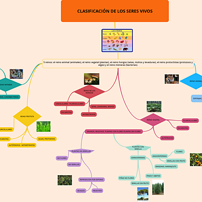 Timeline: Clasificación de los seres vivos