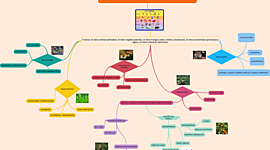 Timeline: Clasificación de los seres vivos