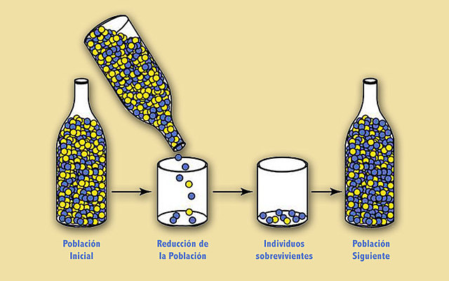 Mecanismo de Darwing