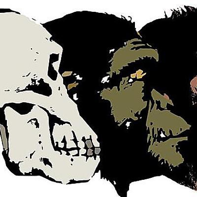 Timeline: POSTURAS DE LA EVOLUCIÓN