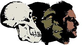 Timeline: POSTURAS DE LA EVOLUCIÓN