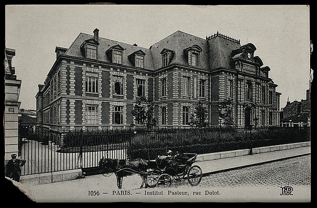 Pasteur Institute