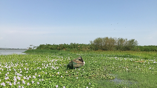 Introducción en el Lago Victoria