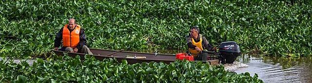 Creacción de un Plan de Choque