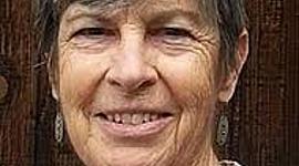 Timeline: Helen Longino