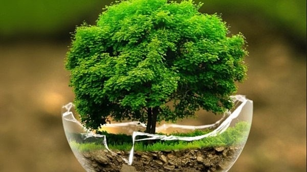 El CCD promueve 6 artículos referidos a salud y ambiente