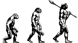 Timeline: Linea evolutiva de la especie humana