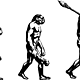 Evolucion