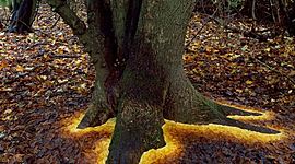 Timeline: Environmental Art Today