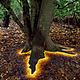 Andy goldsworthy