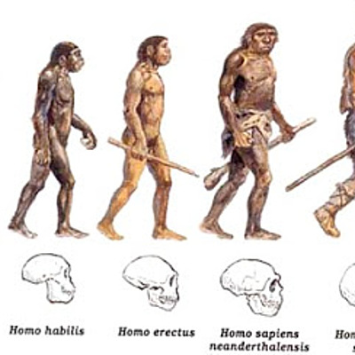 Timeline: Linea Evolutiva de la especie humana