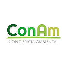 Creación del CONAM