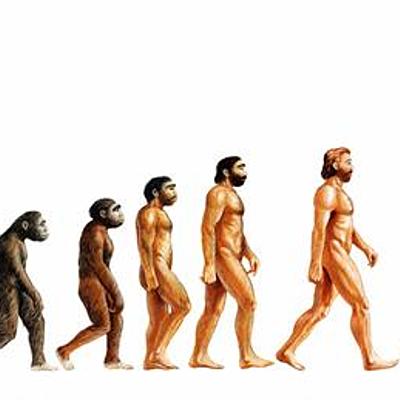 Timeline: Línea evolutiva sobre la especie humana