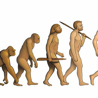 Timeline: Lineas evolutivas de la especie humana