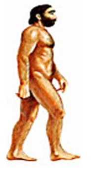 Homo Sapiens Neanderthal