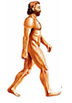 Homo Sapiens Sapiens