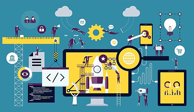 Nacimiento del management information system