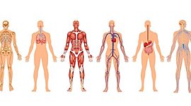Timeline: Medicina a través del tiempo