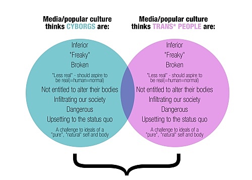 A Cyborg Manifesto Explained