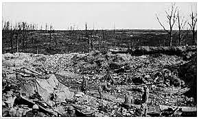 Casualties From February to July