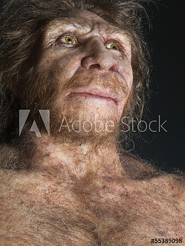 Homo Heidelbergensis