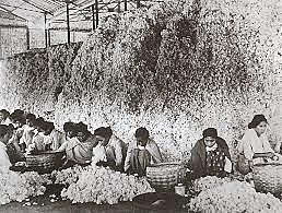 Egypt begins relations with communist China