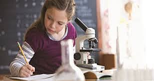 Reajuste y un reforzamiento del currículo de la educación básica