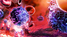 Timeline: Linea del tiempo de Inmunidad