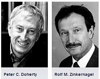 Doherty y Zinkernagel