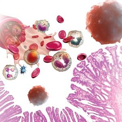 Timeline: DESARROLLO DE LA INMUNOLOGÍA