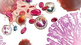 Timeline: DESARROLLO DE LA INMUNOLOGÍA