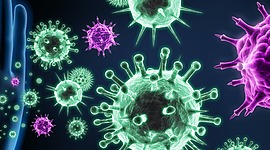 Timeline: Linea de tiempo sobre el desarrollo de la ínmunología