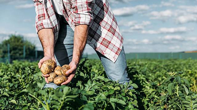 Subvenciones a los Agricultores de Verdad.