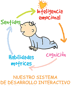 Procesos cognitivos estructurados de PIAGET