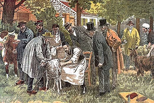 Pasteur Cazador de Microbios