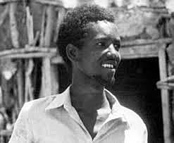 Hasta la Vista, Viruela.