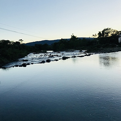 Timeline: Propiedades y generalidades de las respuestas inmunitarias