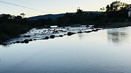 Timeline: Propiedades y generalidades de las respuestas inmunitarias