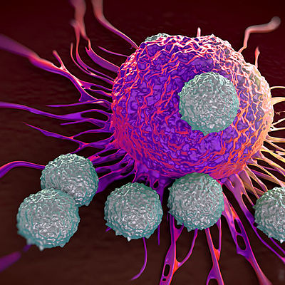 Timeline: DESARROLLO DE LA INMUNOLOGÍA