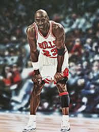 Professional Career Chicago Bulls