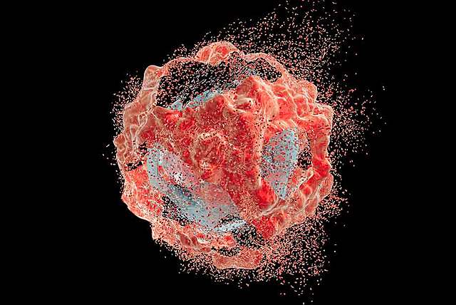 Regulación Genética