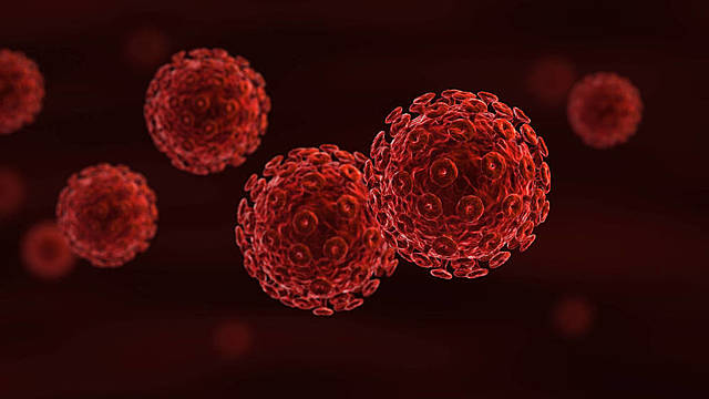 Hausen, Barré-Sinoussi y Montagnier