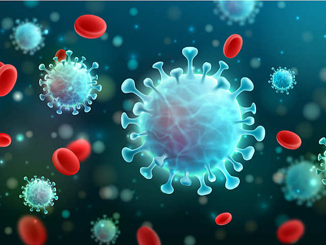 Hoffman, Beutler y Steinman