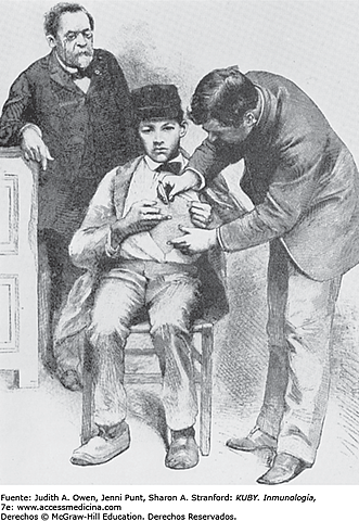 Vacuna antirrábica en humanos