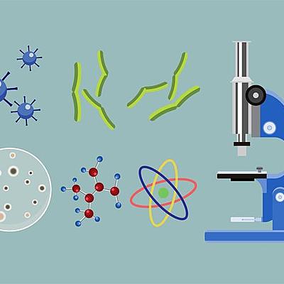 Timeline: Estudios científicos biológicos