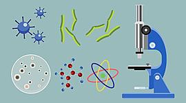 Timeline: Estudios científicos biológicos