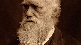 Timeline: BIOGRAFIA SOBRE DARWIN