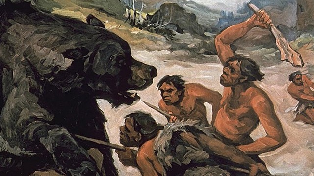 Homo neanderthalensi