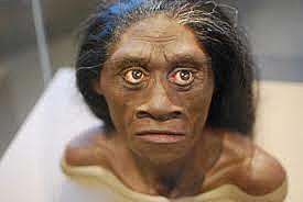 Homo Floresiensis