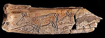 MAGDALENIENSE / Inicio (17000 BP 10000 BP)